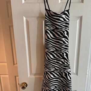Zara Zebra Dress